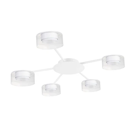 Потолочная люстра Arte Lamp ALIUS A8042PL-5WH