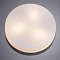 Потолочный светильник Arte Lamp AQUA-TABLET A6047PL-3AB