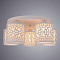 Потолочная люстра Arte Lamp TRAFORATO A8349PL-5WH