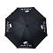 Зонт ARTE Lamp A0102Z