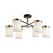 Потолочная люстра Arte Lamp MODELLO A4099PL-6BK