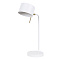 Декоративная настольная лампа Arte Lamp SEBASTIAN A7051LT-1WH
