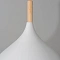 Подвесной светильник Arte Lamp KAYLA A7101SP-1WH