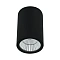 Уличный потолочный светильник Arte Lamp TORCULAR A1307PF-1BK