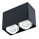 Точечный накладной светильник Arte Lamp PICTOR A5655PL-2BK
