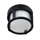 Уличный потолочный светильник Arte Lamp ULYSSES A6206PF-1BK