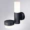 Уличный настенный светильник Arte Lamp BUDAPEST A2360AL-2BK