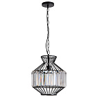 Светильник Arte Lamp CASSEL A1789SP-1BK