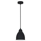 Подвесной светильник Arte Lamp BRACCIO A2054SP-1BK