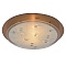 Потолочный светильник Arte Lamp TIANA A4043PL-2CC