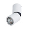Спот Divinare GAVROCHE POSTO 1800/03 PL-1