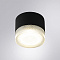 Уличный потолочный светильник Arte Lamp PIAUTOS A1926PF-1BK
