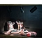 Подсветка для ювелирных изделий Arte Lamp PRESTO A6386PL-1BK