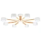 Потолочная люстра Arte Lamp TENDA A1624PL-8WH