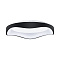 Потолочный светильник Arte Lamp ANKAA A3085PL-56BK