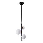 Подвесной светильник Arte Lamp GEMINI A2243SP-3BK