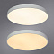 Потолочный светильник Arte Lamp ARENA A2671PL-1WH