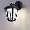 Уличный настенный светильник Arte Lamp ENIF A6064AL-1BK