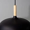 Подвесной светильник Arte Lamp KAYLA A7099SP-1BK