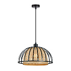 Подвесной светильник Arte Lamp WOODSTOCK A7071SP-1BK