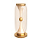 Декоративная настольная лампа Divinare STERZO 1244/17 TL-20