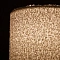 Декоративная настольная лампа Arte Lamp CHARLIE A5071LT-1SS