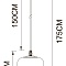 Подвесной светильник Arte Lamp FREDDIE A2234SP-1PB