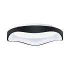 Потолочный светильник Arte Lamp ANKAA A3085PL-56BK