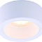Точечный накладной светильник Arte Lamp EFFETTO A5553PL-1WH