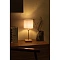 Декоративная настольная лампа Arte Lamp CHARLIE A5071LT-1SS