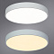 Потолочный светильник Arte Lamp ARENA A2661PL-1WH