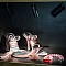 Подсветка для ювелирных изделий Arte Lamp PRESTO A6391PL-1BK
