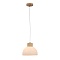 Подвесной светильник Arte lamp CAPRICE A4184SP-1BR