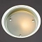 Потолочный светильник Arte Lamp RAPUNZEL A4867PL-1CC