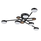 Потолочная люстра Arte Lamp TAYGETA A2455PL-6BK