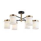 Потолочная люстра Arte Lamp MODELLO A4099PL-6BK