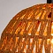 Подвесной светильник Arte Lamp BRUSHWOOD A7086SP-1BK