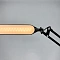 Офисная настольная лампа Arte Lamp FLEX A5128LT-1BK