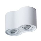 Светильник Arte Lamp FALCON A5645PL-2WH