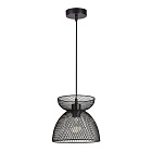 Подвесной светильник Arte Lamp CASTELLO A7065SP-1BK