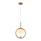 Подвесной светильник Arte lamp CAPRICE A4182SP-1BR