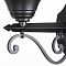 Уличный настенный светильник Arte Lamp MONACO A1491AL-1BK