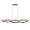Подвесная люстра Arte Lamp FLUIDO A3913SP-24BK