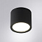 Уличный потолочный светильник Arte Lamp PIAUTOS A1913PF-1BK