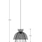 Подвесной светильник Arte Lamp WOODSTOCK A7070SP-1BK