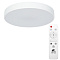 Потолочный светильник Arte Lamp ARENA A2661PL-1WH