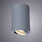 Точечный накладной светильник Arte Lamp SENTRY A1560PL-1GY