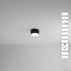 Потолочный светильник Arte Lamp FADO A7312PL-1BK