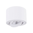 Точечный накладной светильник Arte Lamp UNITO A2260PL-1WH