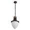 Уличный подвесной светильник Arte Lamp VIENNA A1317SO-1BN